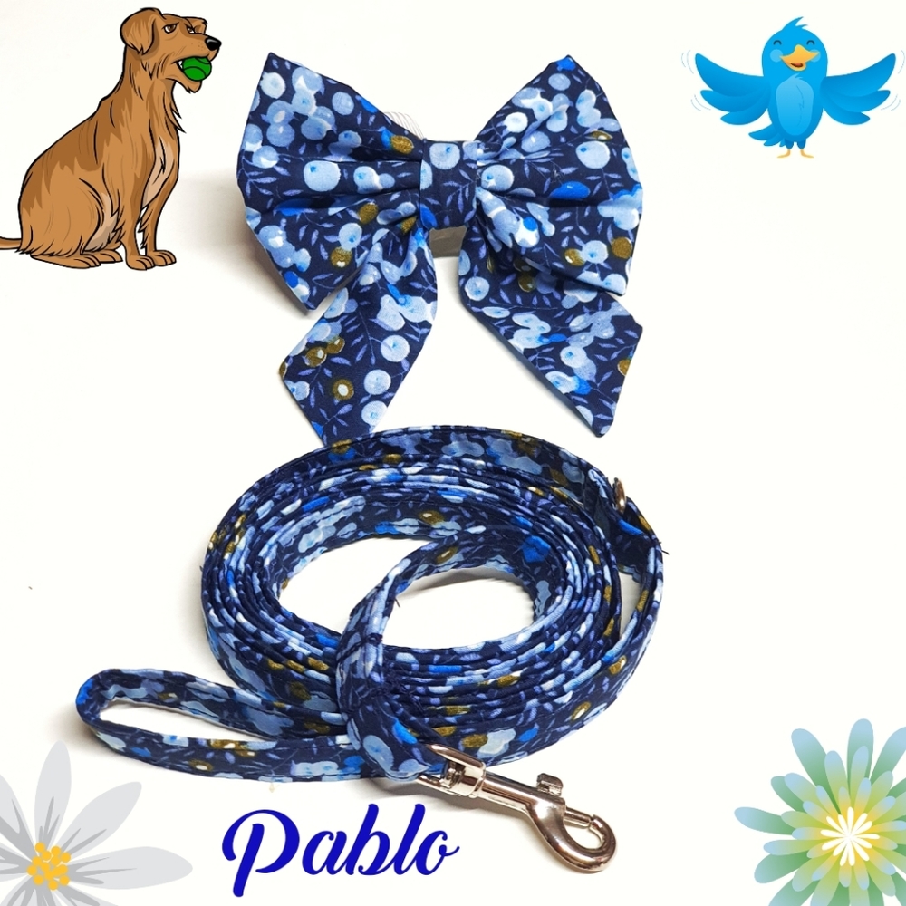 🐶 5 for $15 * Pablo Floral Cotton Dog Bow Tie & Leash Set